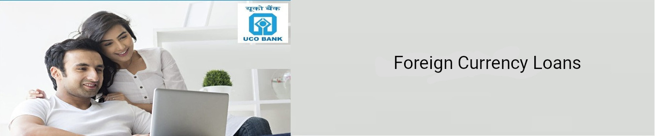Foreign Currency Loans